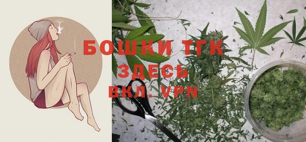 прущие крисы Рославль