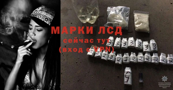 сатива Пролетарск
