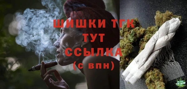 сатива Пролетарск