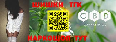крисы Абакан