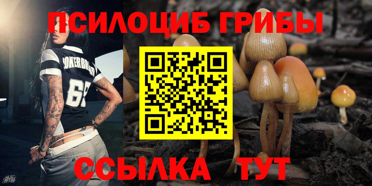 Псилоцибиновые грибы Psilocybine cubensis  Вход с VPN  наркотики  Александров 