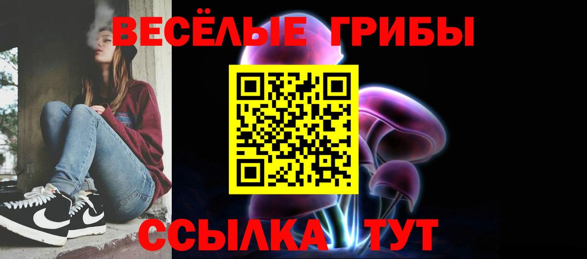 Галлюциногенные грибы мицелий  Александров  наркотики  Псилоцибиновые грибы ЛСД 