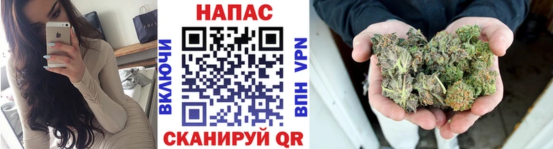 Конопля семена  что такое   Александров 